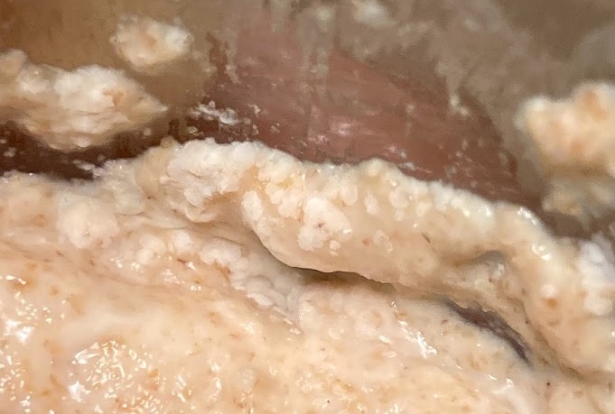 Moldy starter